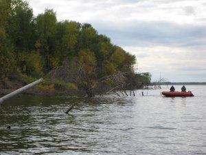 IMG_2028.JPG