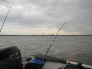 IMG_1925.JPG