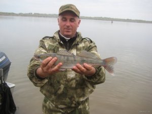 IMG_2072.JPG