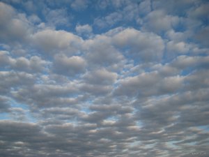 IMG_2046.JPG