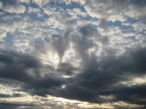 IMG_2048.JPG