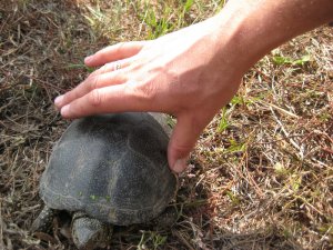 IMG_2116.JPG