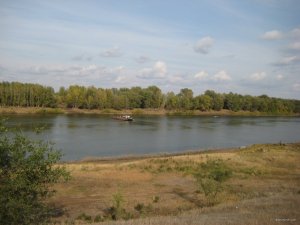 IMG_2191.JPG