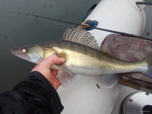IMG_20191215_144302.jpg
