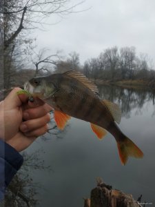 IMG_20191222_114306.jpg