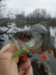IMG_20191222_114310.jpg