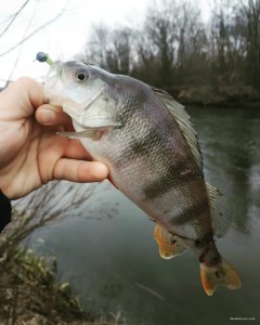 IMG_20191222_170340_091.jpg