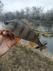 IMG_20191222_125248.jpg