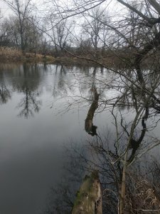 IMG_20191222_120713.jpg