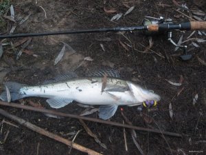 IMG_1430.JPG