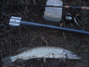 IMG_1433.JPG