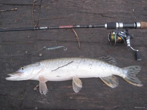 IMG_1440.JPG