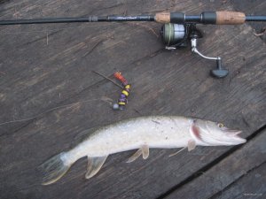 IMG_1442.JPG