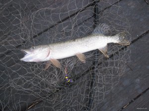 IMG_1443.JPG