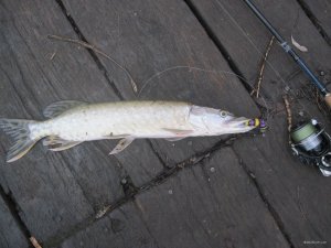 IMG_1448.JPG