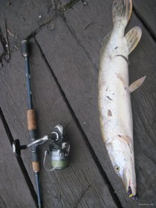 IMG_1450.JPG