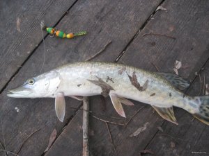 IMG_1452.JPG