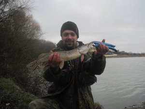 IMG_1459.JPG