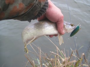 IMG_1467.JPG