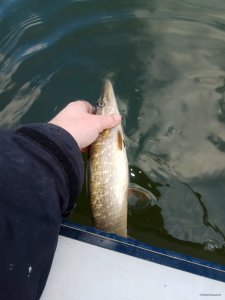 IMG_20191219_115128.jpg