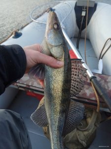 IMG_20191219_115805.jpg