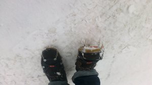 2013-01-11-0202.jpg