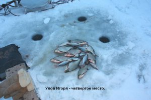 Копия 121 015.jpg