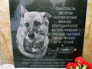Елга.jpg