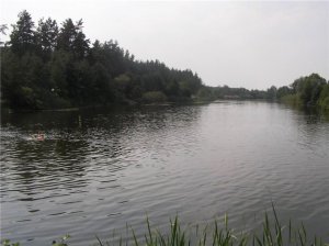 63ee5653f37f.jpg