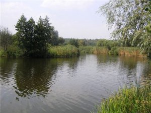 a7a9335371ad.jpg
