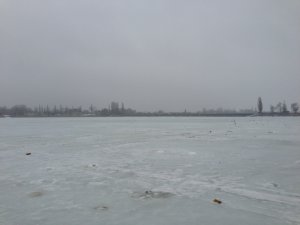 IMG_3570.JPG