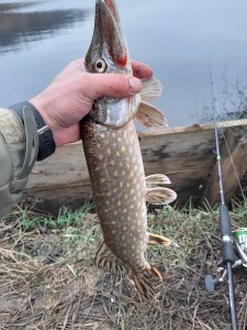 20191224_133424.jpg