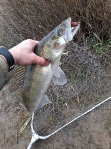 20191224_134542.jpg