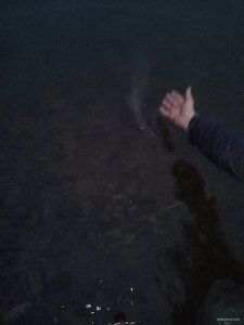 IMG_20191226_155248.jpg