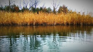 IMG_20191227_161722.jpg