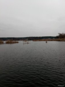 IMG_20191226_111817.jpg