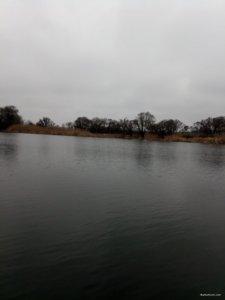 IMG_20191226_131902.jpg