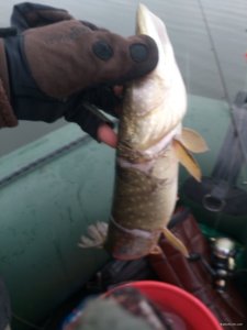 IMG_20191226_122536.jpg