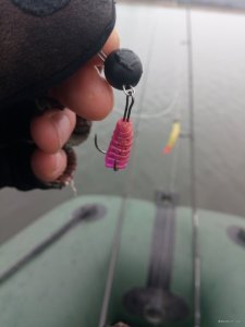 IMG_20191226_123310.jpg