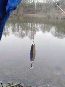 IMG_20191227_132154.jpg