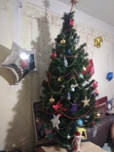 IMG_20191228_092531.jpg