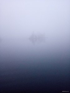 IMG_20191228_072529.jpg