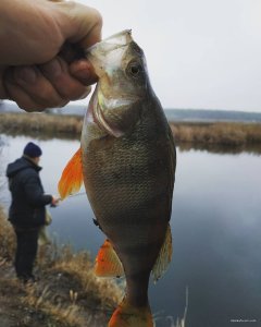 IMG_20191228_172109_928.jpg