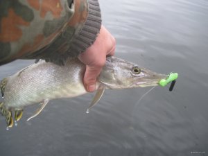 IMG_1473.JPG