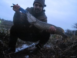 IMG_1484.JPG
