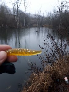 C50F017C-66D4-4D3F-9FC6-201648F54C37.jpeg