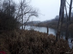 19E36F70-1F67-4438-8C01-DEC903EB8656.jpeg