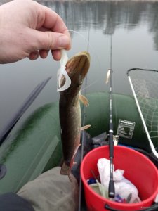 IMG_20191228_114706.jpg