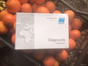 60EE03FF-F1DA-45A7-8E28-D51698BFD3B8.jpeg
