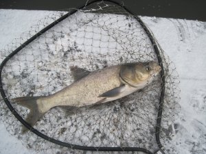 IMG_1494.JPG